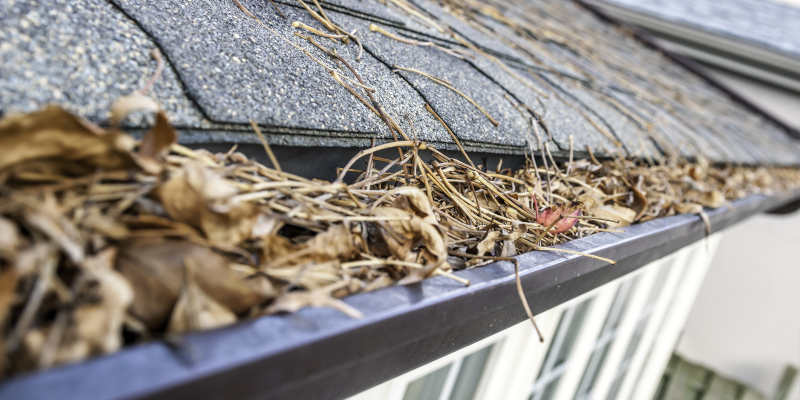 Three Reasons Why Soft Washing Is Your Answer to Gutter Cleaning