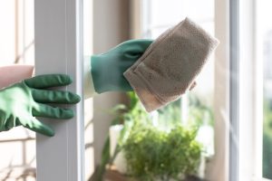 Enjoy a Clearer View with Interior Window Cleaning