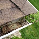 Commercial Gutter Cleaning